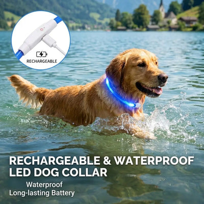 Collier Lumineux LED Étanche 3 Modes Rechargeable Chien