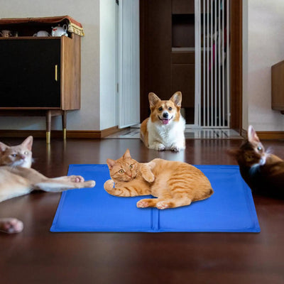 Tapis Rafraîchissant Chien et Chat en Gel Auto-Refroidissant