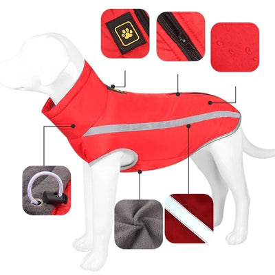 Manteau Chien Bandes Réfléchissantes Doublure Polaire Labrador