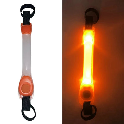 Collier Lumineux Étanche Anti-Perte pour Chien