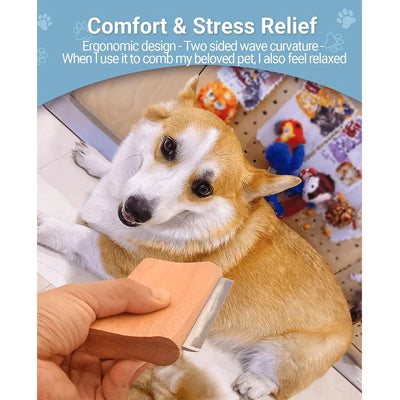 Brosse Anti-Perte de Poils pour Chien Petit et Grand Format