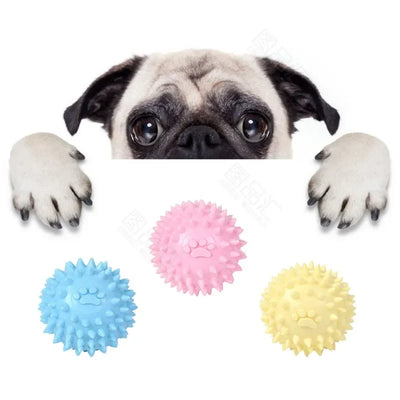 Balle à Picots Dentaire Jouet à Mâcher Chien 6 cm