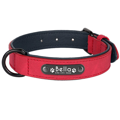 Collier Cuir Personnalisé Plaque Gravée Grand Chien