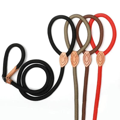 https://cdn.shopify.com/s/files/1/0489/2898/1148/files/Sd3dc8ac3f6774b69b3dc11bf61d980c02.webp?v=1742978240