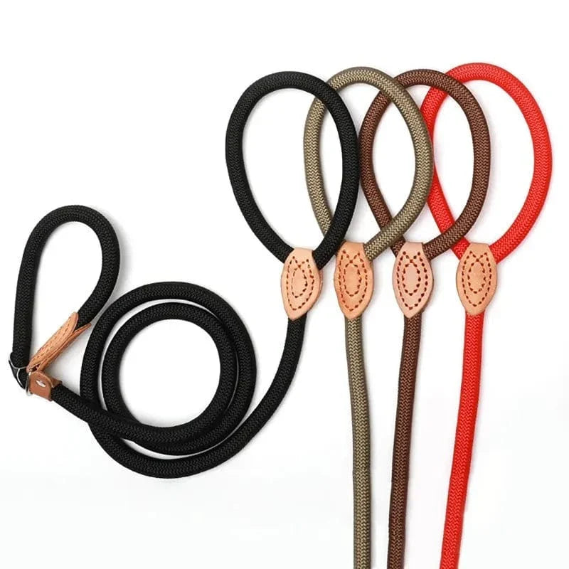 https://cdn.shopify.com/s/files/1/0489/2898/1148/files/S078d3e01a1194357ba35cf514cb2e08cb.webp?v=1742978223