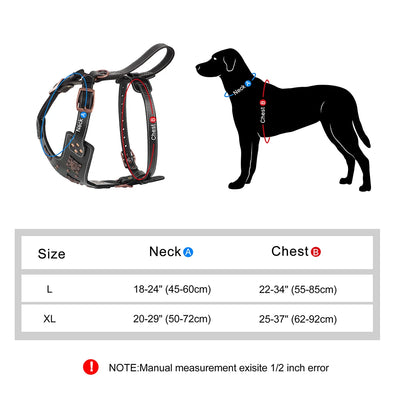 Harnais Cuir Gros Chien Poignée de Contrôle et Rivets Cuivrés