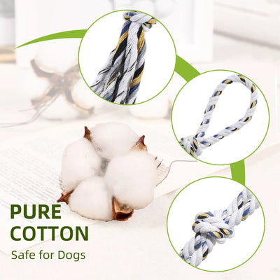 Flirt Pole pour Chien avec Perche et Corde en Coton