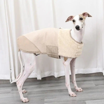 Manteau Chien Sherpa Lévrier Whippet Coupe-Vent