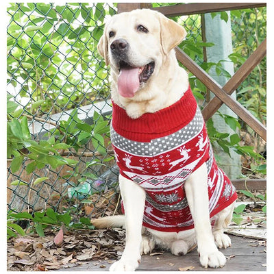 Pull de Noël Moche Renne pour Chien