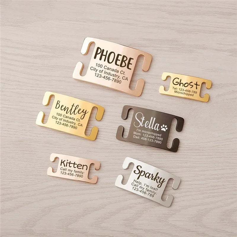 Médaille Gravée Inox Anti-Perte pour Chien