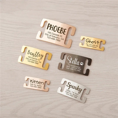 Médaille Gravée Inox Anti-Perte pour Chien