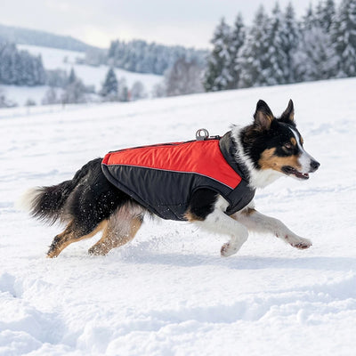 Manteau d'Hiver Chaud pour Chien Berger Allemand