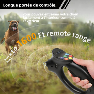 Collier Dressage 1600ft Gros Chien IPX7 Rechargeable