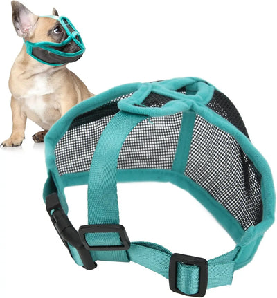 Muselière Chien Bouledogue Français Filet Bord Doux