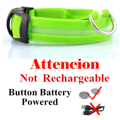 Collier Lumineux LED USB pour Chien