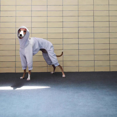 Manteau Intégral 4 Pattes à Capuche Lévrier Whippet