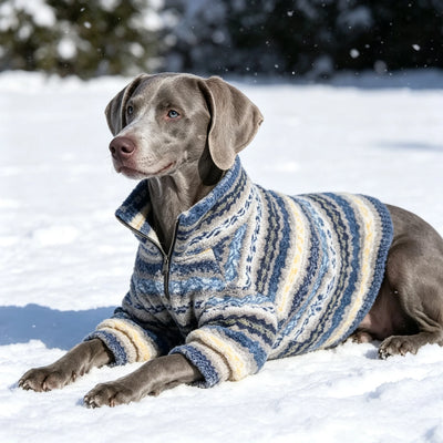 Pull Col Roule Chien Moyen Grand Gabarit