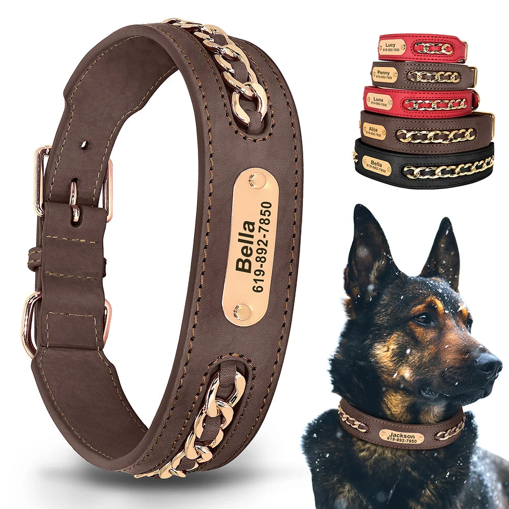 Collier Cuir Personnalisé à Plaque d'Identification Chien