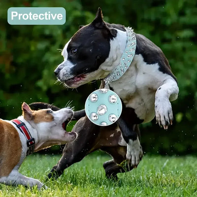Collier Cuir Clouté Gros Chien Laisse