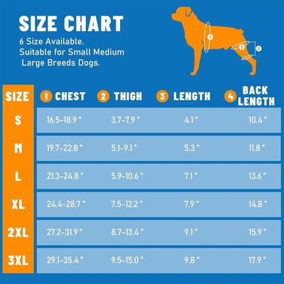 Attelle Chien 4 Stabilisateurs Métalliques Soutien Pattes Arrière