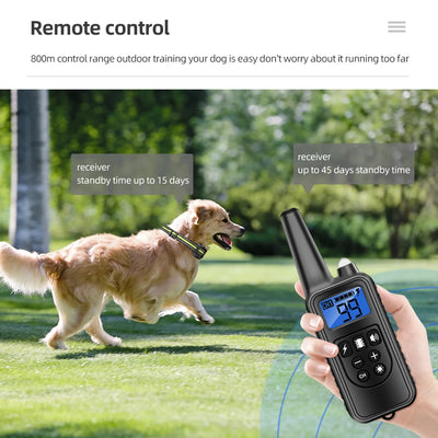 Collier Électrique de Dressage 800 m Nylon Rechargeable Chien