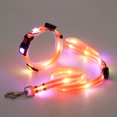 Collier et Laisse LED Lumineux pour Chien