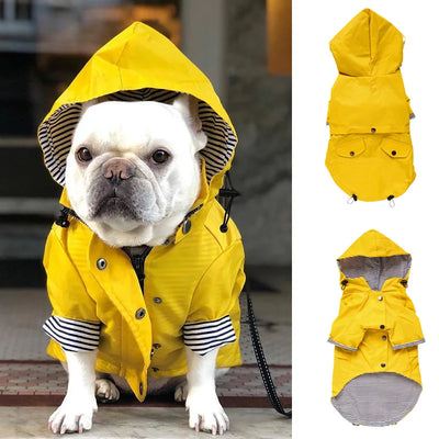 Manteau Imperméable Jaune Capuche Bouledogue Français Carlin