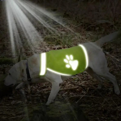 Gilet de Sécurité Réfléchissant Haute Visibilité pour Chien