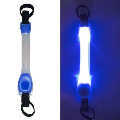 Collier Lumineux Étanche Anti-Perte pour Chien