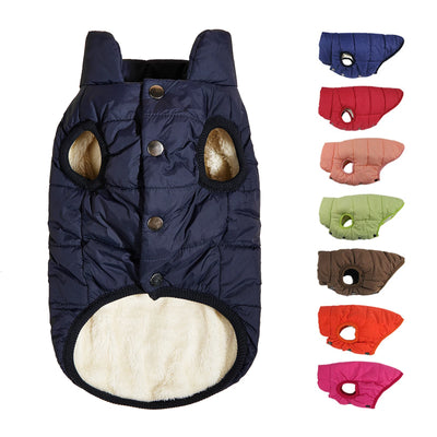 Manteau d'Hiver Matelassé Chien Doublure Sherpa