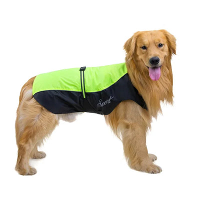 Manteau Imperméable Sport Bicolore Golden Retriever du S au 9XL