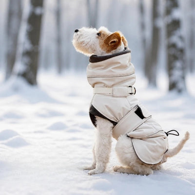 Manteau d'Hiver Réfléchissant Col Montant Chien