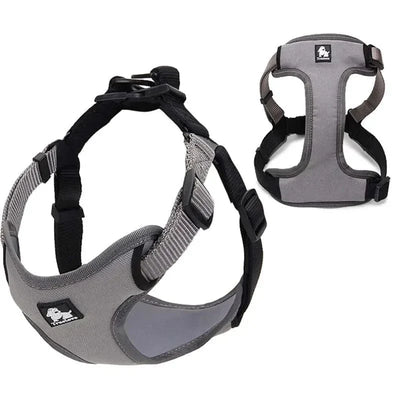 https://cdn.shopify.com/s/files/1/0489/2898/1148/files/Sd976394750ba490f8f43198129ff304eq.webp?v=1742985854