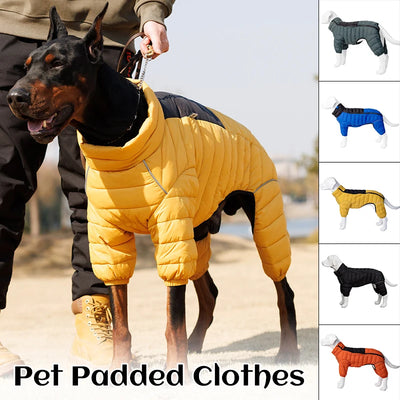 Manteau Doudoune Coton Gros Chien Hiver Coupe-Vent