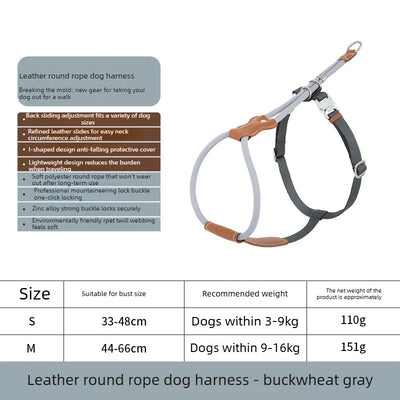 Harnais Corde Ronde Anti-Évasion Réglable pour Lévrier et Chien Moyen