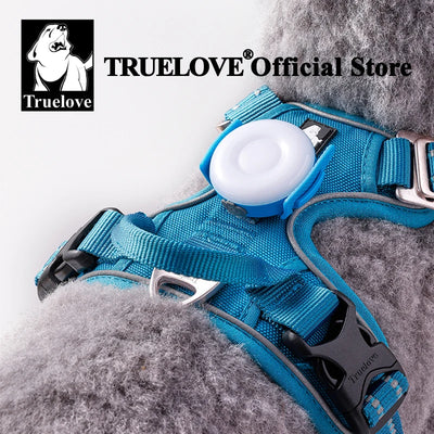 Lumière LED Clip de Sécurité Étanche pour Chien