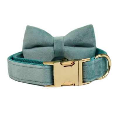Collier et Laisse Velours Vert Plaque Gravée Chien