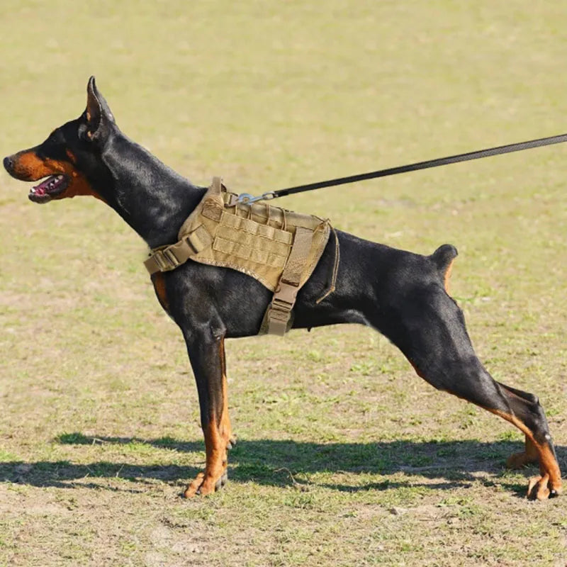 Harnais Tactique Nylon Molle Grand Chien et Accessoires Assortis