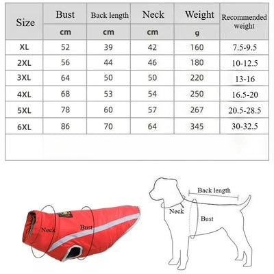 Manteau Chien Bandes Réfléchissantes Doublure Polaire Labrador