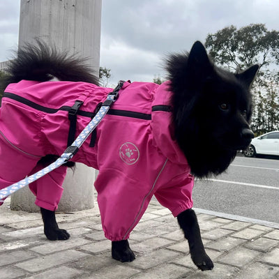 Manteau Pluie Réfléchissant Combinaison Gros Chien