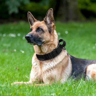 Collier Tactique Militaire Nylon Réfléchissant Gros Chien