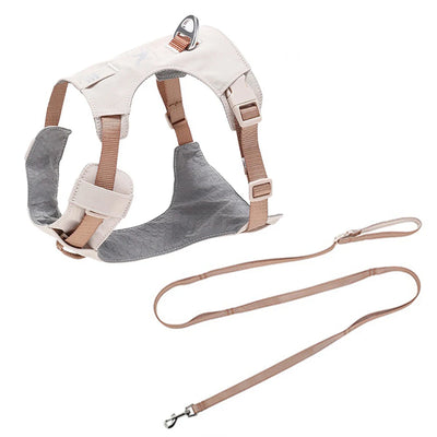 Ensemble Harnais et Laisse Assortis Anti-Traction Chien