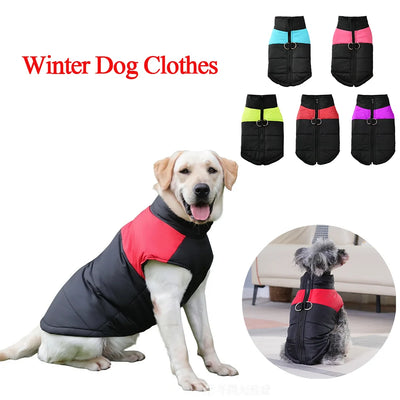 Manteau Doudoune Chien Coupe-Vent Anneau en D Labrador