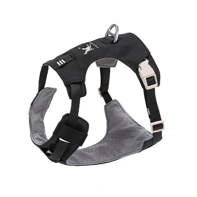 Ensemble Harnais et Laisse Assortis Anti-Traction Chien