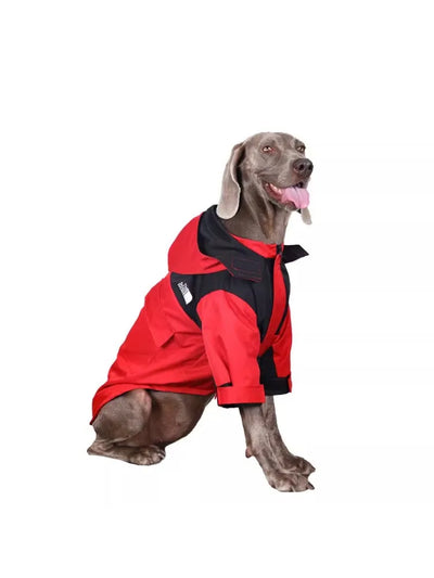 Manteau Imperméable à Capuche Zippé Gros Chien