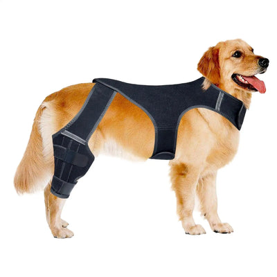 Attelle Chien 4 Stabilisateurs Métalliques Soutien Pattes Arrière