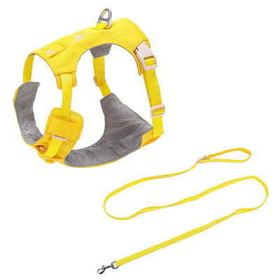 Ensemble Harnais et Laisse Assortis Anti-Traction Chien