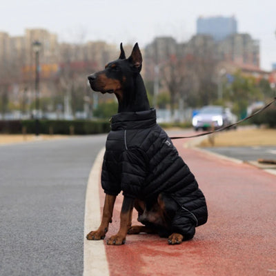 Manteau Doudoune Coton Gros Chien Hiver Coupe-Vent