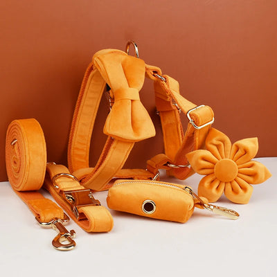 Collier et Laisse Velours Orange Personnalisé Chien