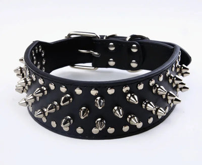 Collier Cuir Clouté Pitbull Mastiff